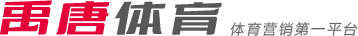 每场比赛雷